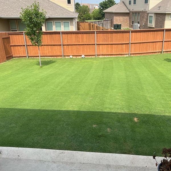 What Is PreEmergent and Why Your Lawn Needs It This Fall Reel Cut